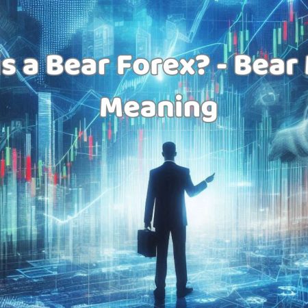 What is a Bear Forex? – Bear Market Meaning