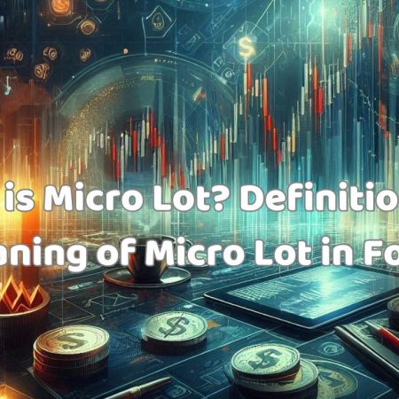 What is Micro Lot? Definition and Meaning of Micro Lot in Forex