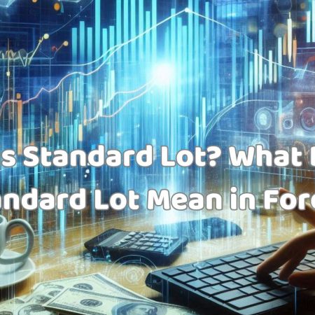 What is Standard Lot? What Does a Standard Lot Mean in Forex?