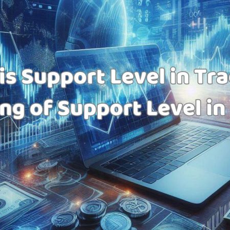 What is Support Level in Trading? Meaning of Support Level in Forex