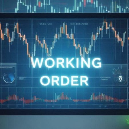 What is working order? Key information about working order